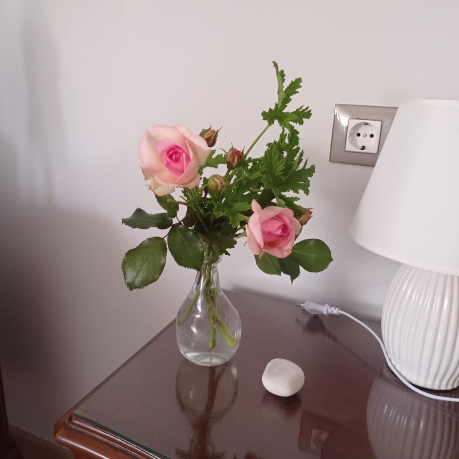 Ponteceso, Mar Y Fer Apartment Ngoại thất bức ảnh